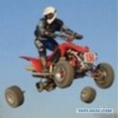 Дикие фото из социальных сетей