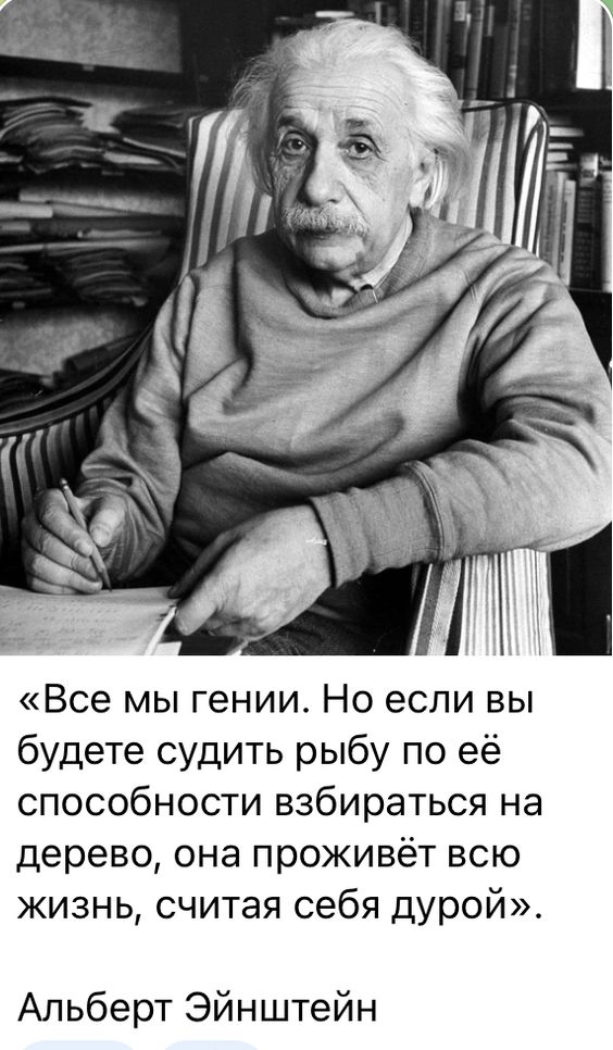 Прикольные и просто красивые картинки 12.11.2024