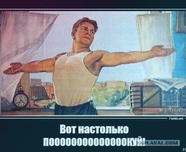 Говорят, что кошки очень бдительные животные