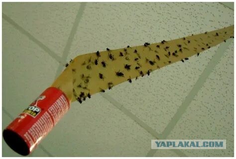 Двойной удар