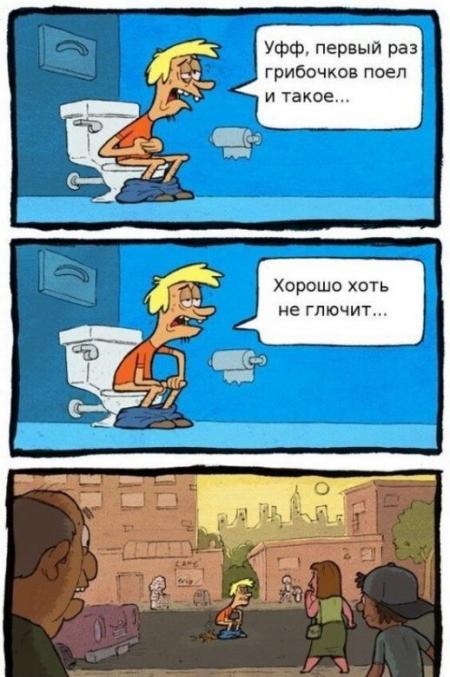 ЯП, что за опята?