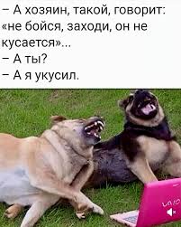 Они не кусают просто так.