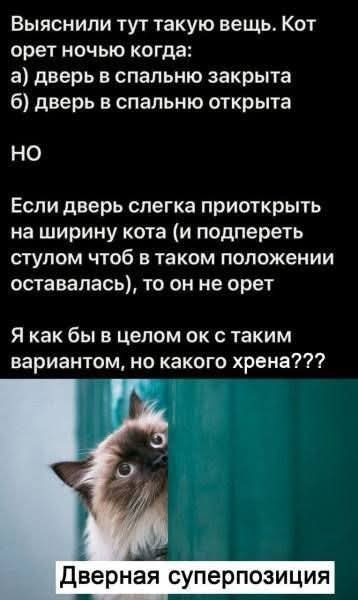 Воскресные картинки