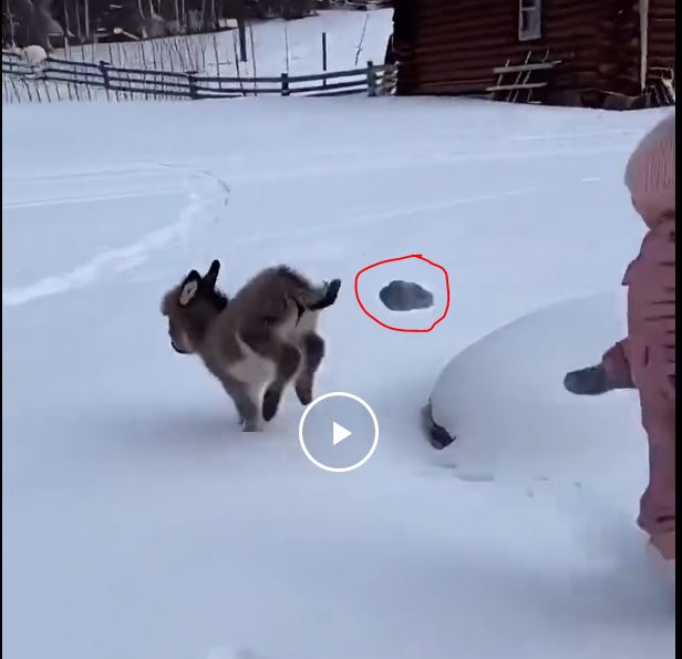 Счастливое детство