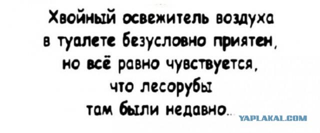 Картиночки, баянчики 17 февраля