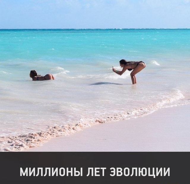 Шимпанзе вернула людям упавшие к ней в вольер очки