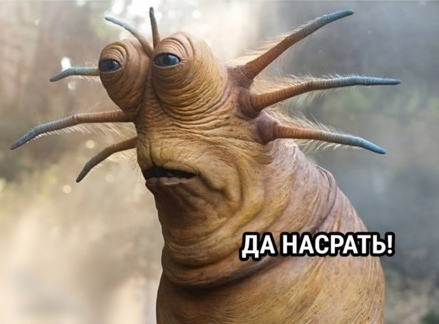 Бывший физик ЦРУ сделал заявление о четырёх видах инопланетян