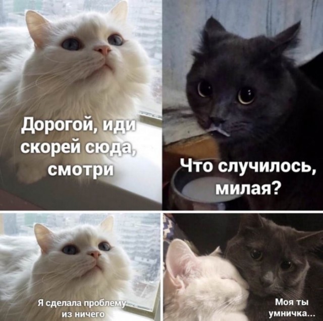 Картинки на среду