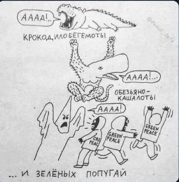 Картинки для деградации 287 (разной степени свежести)