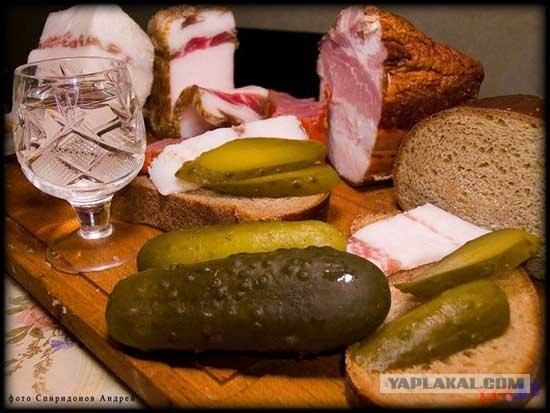Из чего делают бургеры из Макдональдс