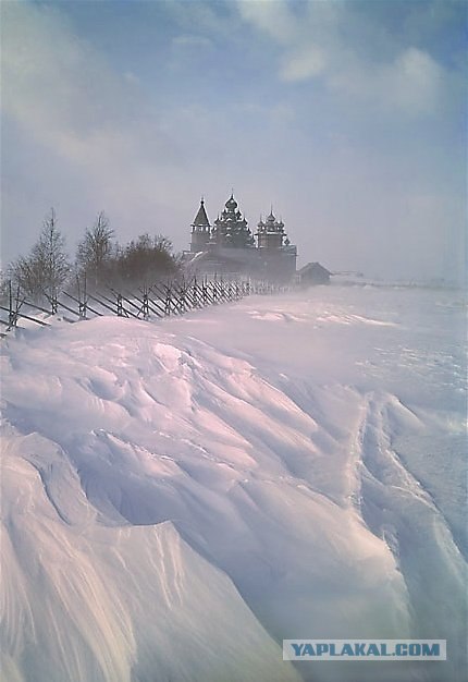 Россия Гиппенрейтера