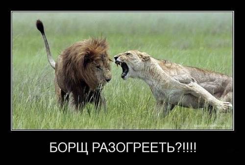 Самые невероятные научные фотографии