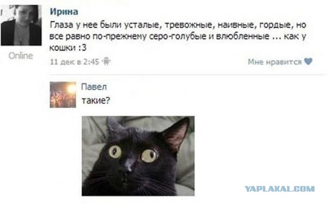 Смешные комментарии из социальных сетей