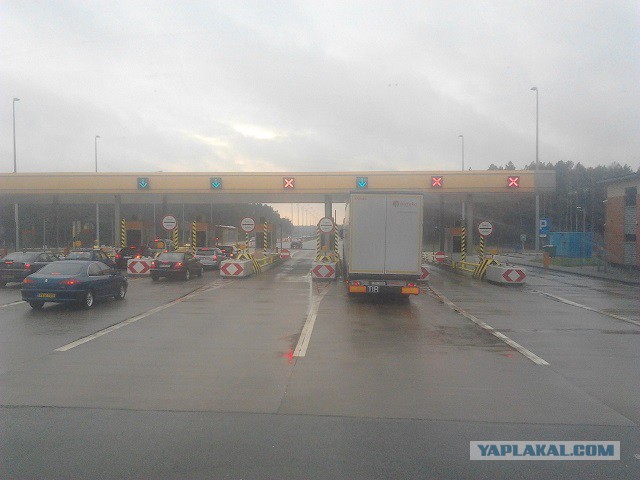 Где яблоки растут!