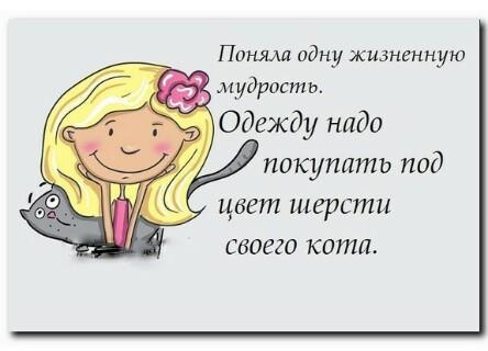 Смешные комментарии из социальных сетей.