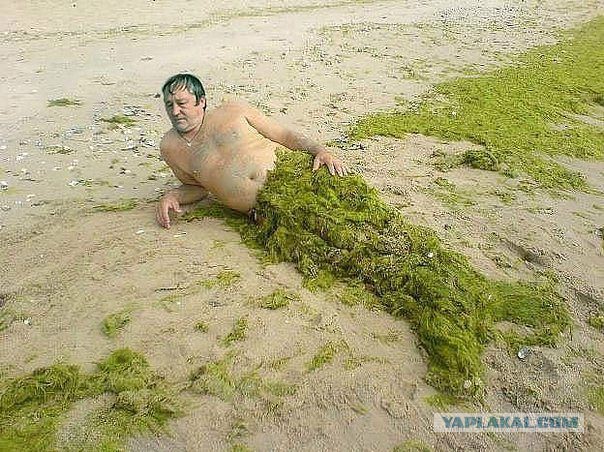 Позитивные картинки
