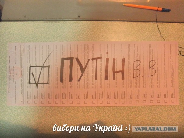 Мое голосование во Львове