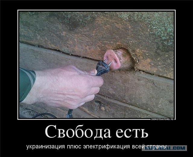 Политический юмор