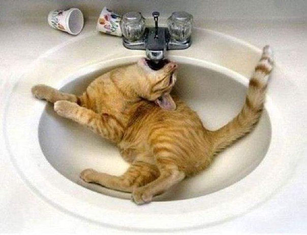 Смешные картинки из соц. сетей.