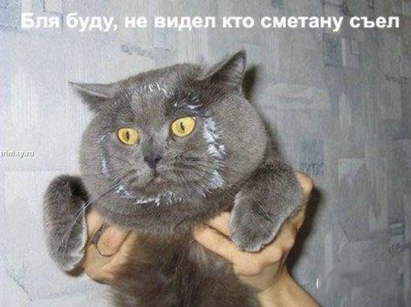 Немного смешных картинок из сети