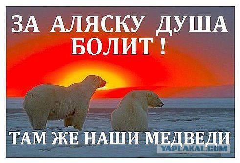 А вот и новые картинки!