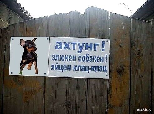 Зверюга