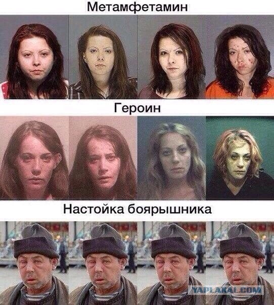 Пиво как смысл жизни