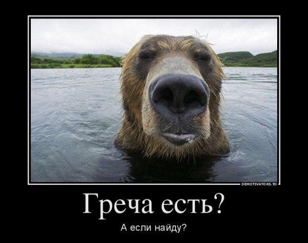 Картинки и юмор