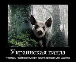 Весёлое из сети