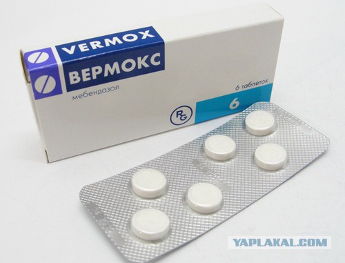 8 натуральных продуктов, уничтожающих паразитов