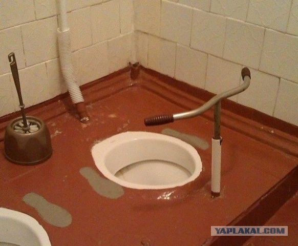 Прикольные картинки из сети