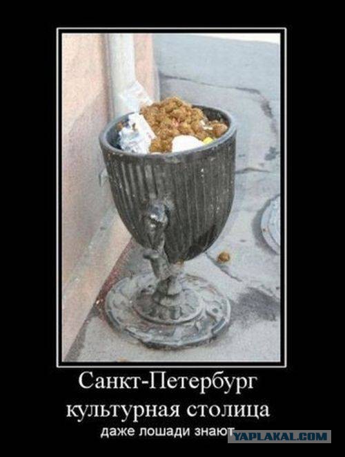 Весёлости в картинках