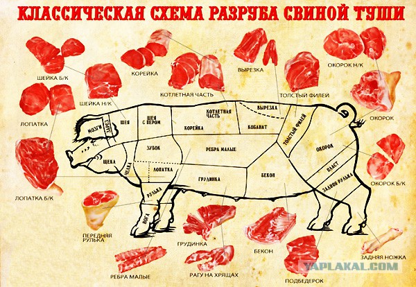 Правда о мясе