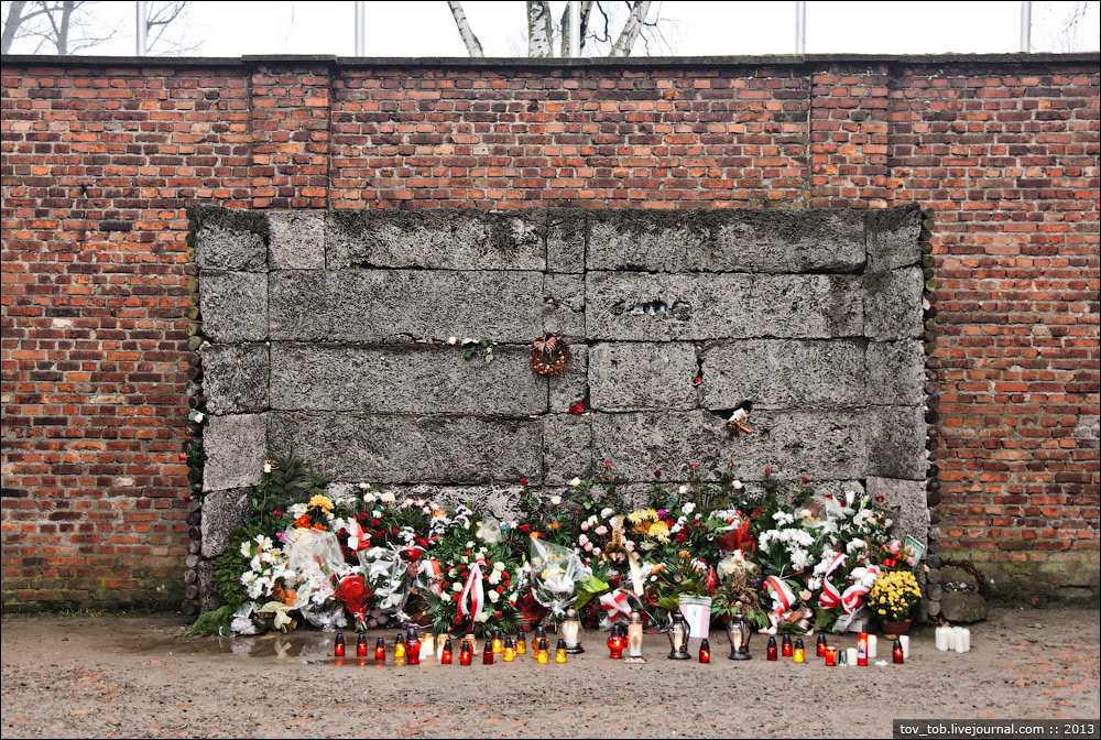 Освобождение лагеря смерти. Освенцим Расстрельная стена. Освенцим мемориальный комплекс. Краков концлагерь Освенцим. Польша Освенцим мемориал.