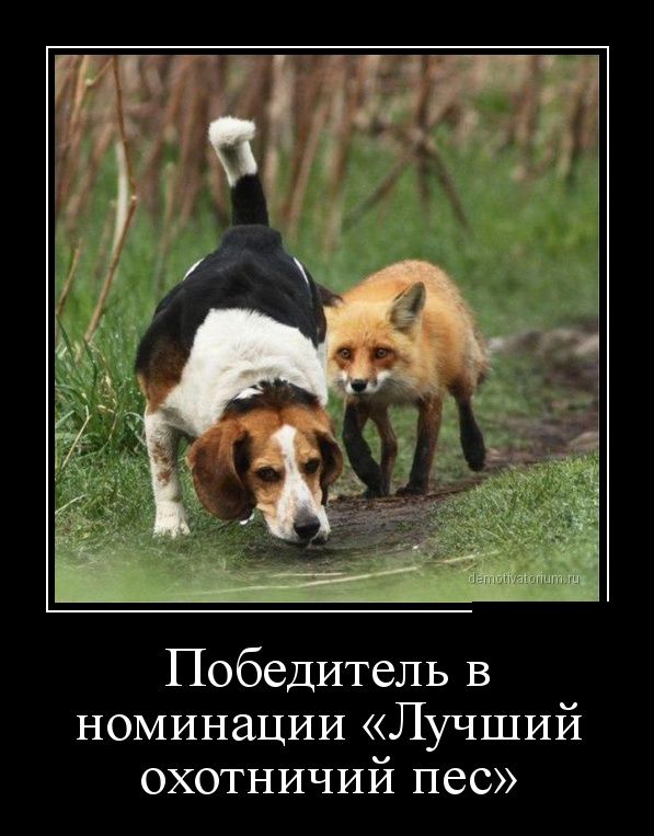 Плюшкиным посвящается