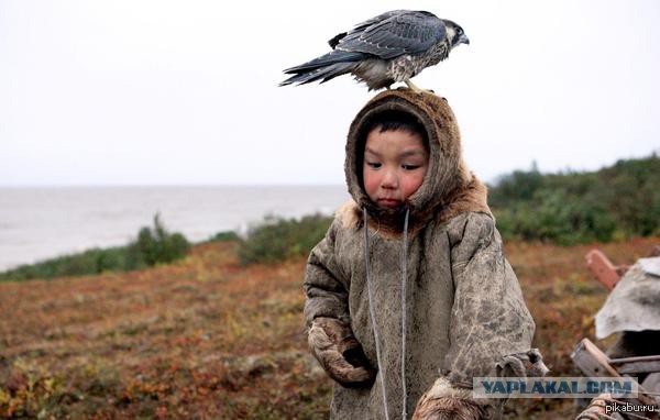 Монголия: Охота с орлами