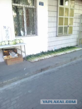Немного о Харбине
