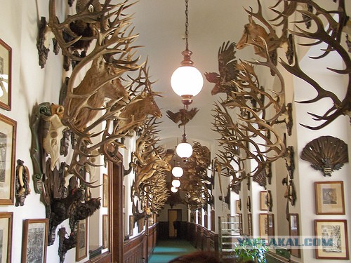 Кровавому Воскресенью 111 лет