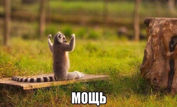 Подборка Картинок из сети