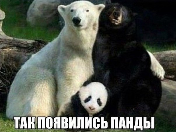 Под вечер, вторника.