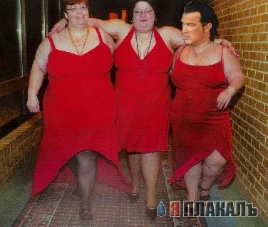 Фотожаба: Стивен Сигал