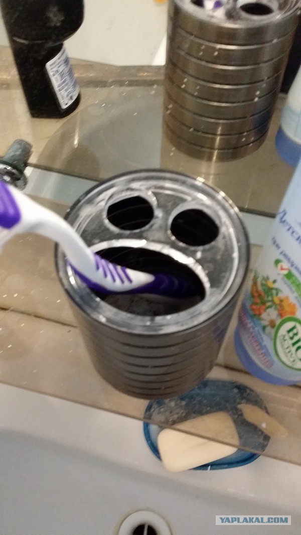 Они живые. Они смотрят на нас!