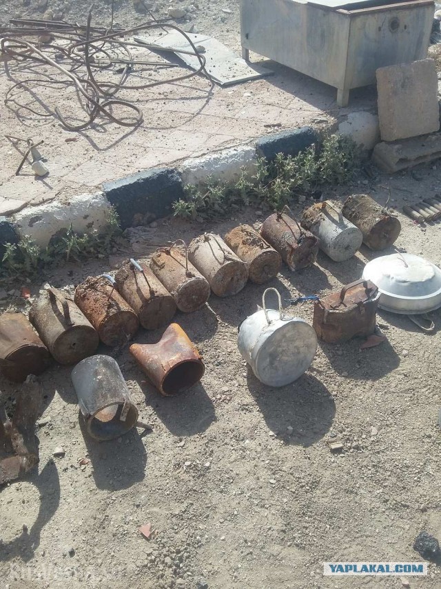 Пальмира: российские саперы с собаками ликвидируют мины ИГИЛ — эксклюзив «Русской Весны»
