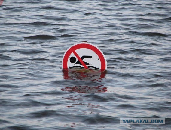 Фотоподборка (18.04.16)