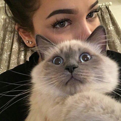 Картинки разные