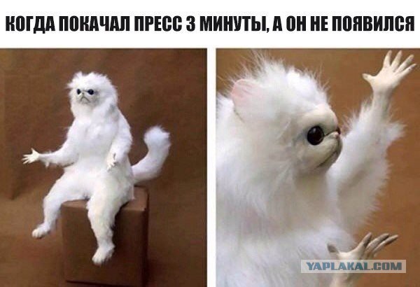 Всякое разное из интернета