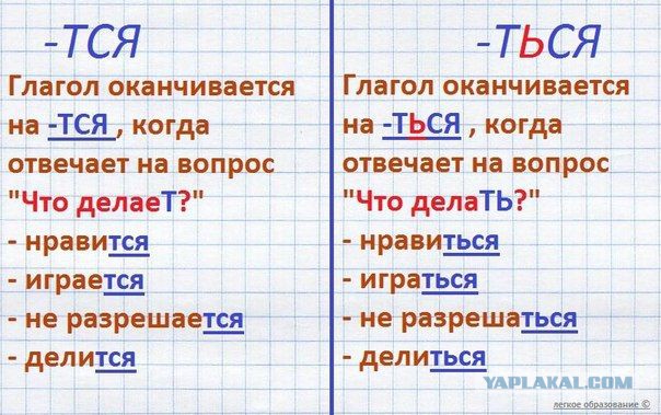 Народ ударил трусами по Цетробанку