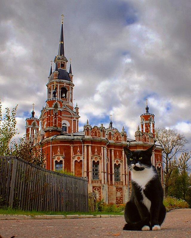 Картинки всякие