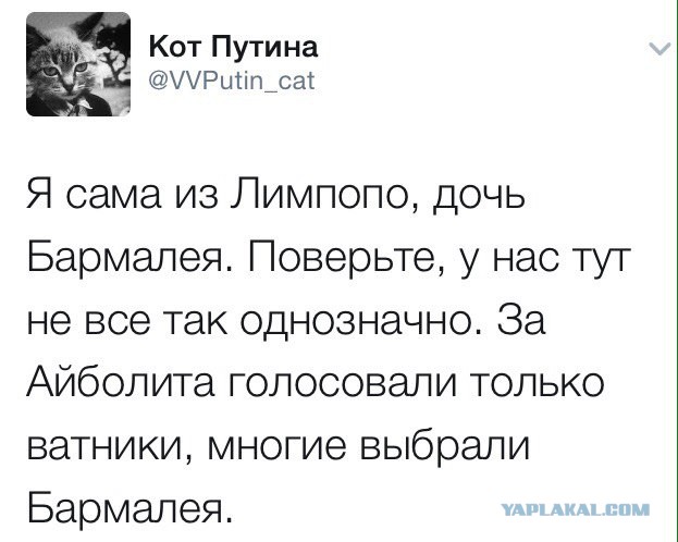 Захарова прокомментировала "назначение" Айболита президентом Лимпопо