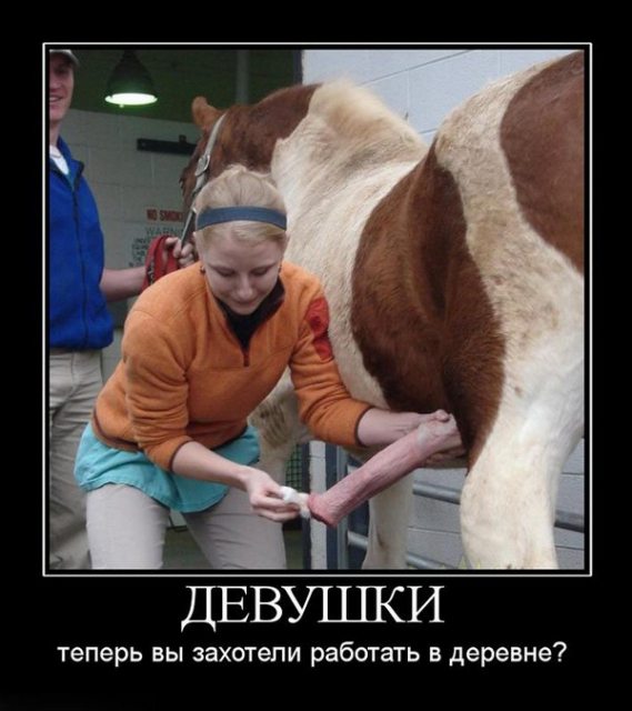 Адовый трэш и идиотизм со всей Галактики